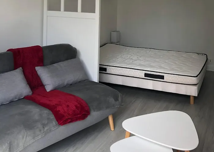 Avec Balcon, Proche Chu, Chateau, Tramway * 昂热