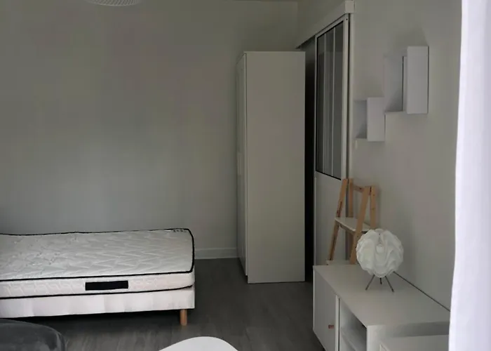 公寓 Avec Balcon, Proche Chu, Chateau, Tramway *