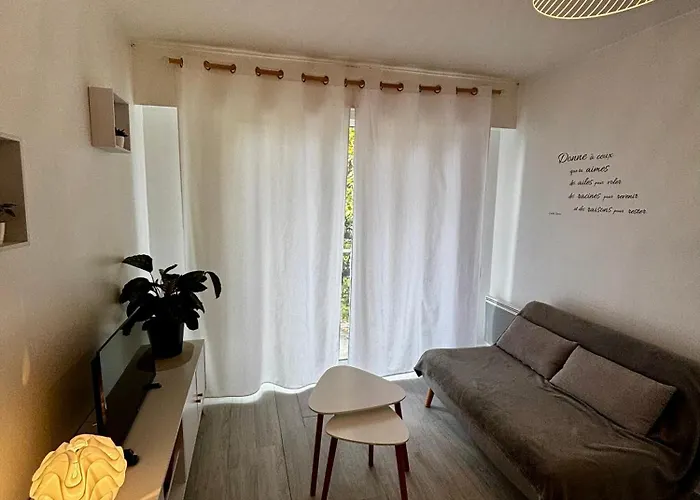 Avec Balcon, Proche Chu, Chateau, Tramway 公寓 昂热